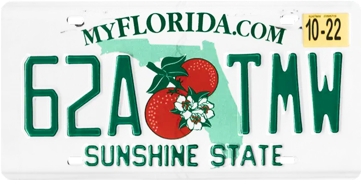 Florida plate example